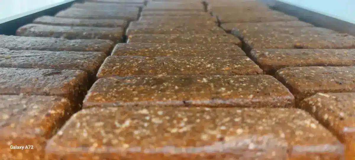 handgefertigte Snack-Riegel liegen auf einem Backblech